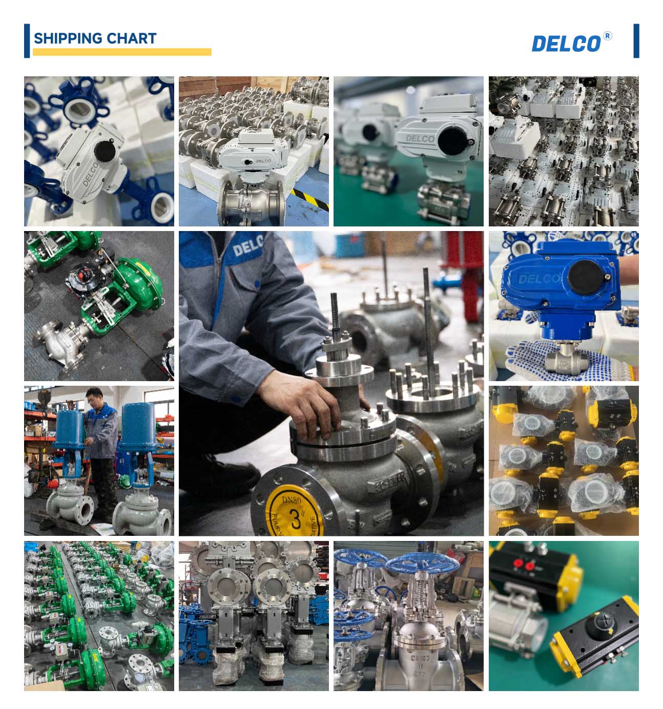 DELCO Valve21716274