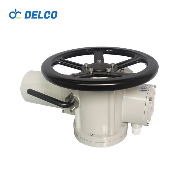 multi-turn actuator